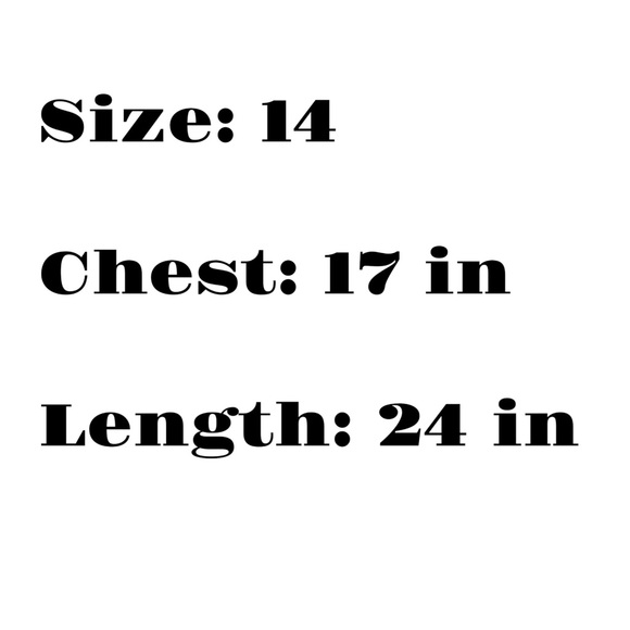 Beacon Hill Equestrian Show Riding Shirt Blue Cool Max Collection Girls Size 14 - Picture 5 of 5